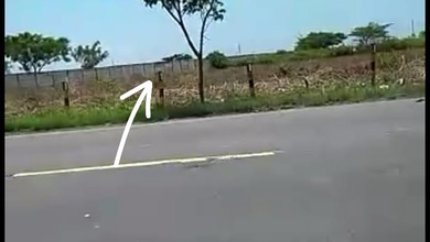 Dijual Tanah Premium di Tuban, Tuban, LT 40000m²