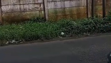 Kavling Prestisius Dijual di Lippo Karawaci, Tangerang, Harga 29,7 Miliar