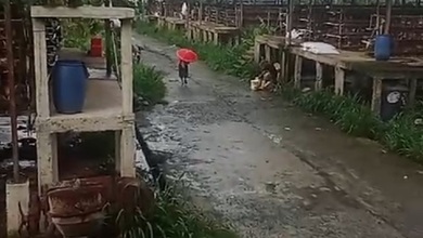 Tanah Elit Dijual di Bogor Barat, Bogor, Harga 6050 Triliun