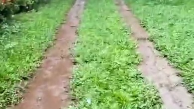 Tanah Elit Dijual di Serua, Tangerang, Harga 13,2 Miliar