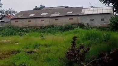 Kavling Prestisius Dijual di Ciseeng, Bogor, Harga 8,25 Miliar