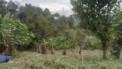 Dijual Tanah Premium di Jonggol, Bogor, LT 23000m²