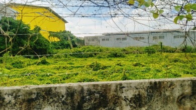 Kavling Prestisius Dijual di Sunter, Jakarta Utara, Harga 36 Miliar