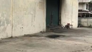 Gudang Sewa Sunter Bagus Ok Bsngetz Lokasi