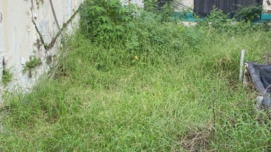 Kavling Prestisius Dijual di Sunter, Jakarta Utara, Harga 372 Miliar