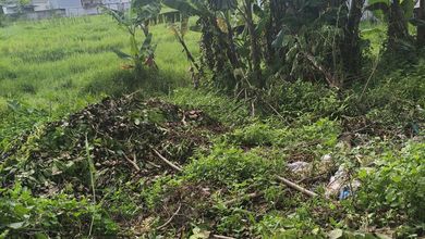 Kesempatan Tanah Murah di Sepatan, Tangerang, Luas 6m²