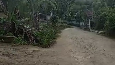 For Sale Tanah Premium di Pujut, Lombok Tengah, LT 843m²