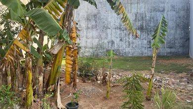 Jual Tanah Area Cluster Pantai Mutiara View Danau dan Taman