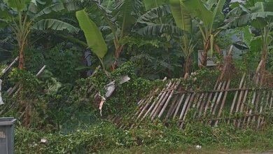 Tanah Nyaman untuk Hunian di Ancol, Jakarta Utara, Luas 153m²