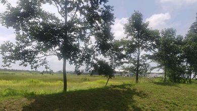 Tanah Elit Dijual di Pantai Indah Kapuk 2, Jakarta Utara, Harga 59,3 Miliar