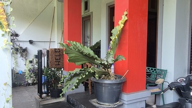 Properti Siap Huni di Area Ciputat, Tangerang Selatan, LT 164m²