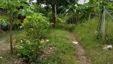 For Sale Tanah Eksklusif di Adiwerna, Tegal, LT 40000m²