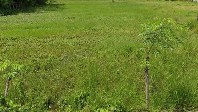 Tanah Elit Dijual di Teluk Naga, Tangerang, Harga 10,1 Miliar