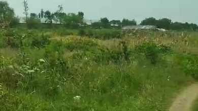 Kavling Prestisius Dijual di Adiwerna, Tegal, Harga 100 Miliar