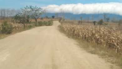 Kavling Prestisius Dijual di Brebes, Brebes, Harga 50 Miliar