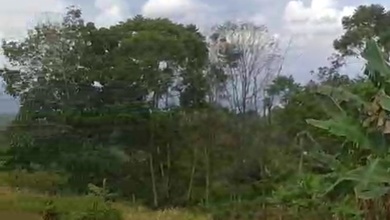 For Sale Tanah Eksklusif di Cianjur, Cianjur, LT 150000m²