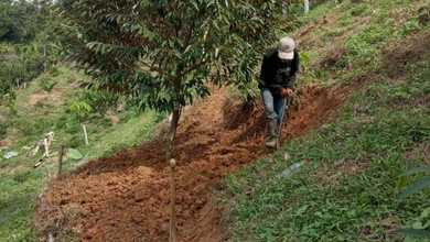 Jual Murah Tanah 85000 m2 Lokasi Strategis