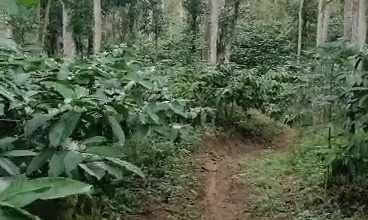 For Sale Tanah Eksklusif di Temanggung, Temanggung, LT 560000m²