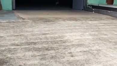 Disewakan Murah Sekali Gudang Siap Pakai Luas 500M di Mustika Jaya Bekasi Timur