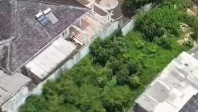 Kavling Prestisius Dijual di Cilandak, Jakarta Selatan, Harga 3,16 Triliun