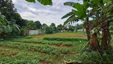 Sewa Kotak LT 900 m2 Area Gunung Sindur Disewakan Cepat
