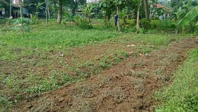 Tanah Elit Dijual di Ciseeng, Bogor, Harga 18,1 Miliar