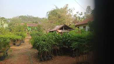 For Sale Tanah Eksklusif di Kajen, Pekalongan, LT 1000m²