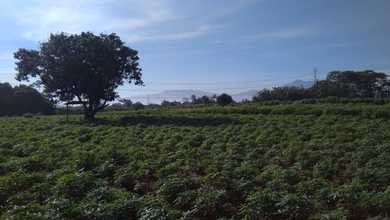 Tanah Elit Dijual di Bogor Barat, Bogor, Harga 110 Triliun