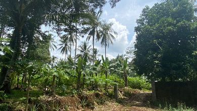 Kavling Prestisius Dijual di Cikembar, Sukabumi, Harga 12 Miliar