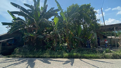 Tanah Nyaman untuk Hunian di Rumpin, Bogor, Luas 3900m²