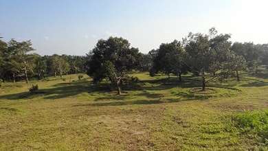 Kavling Prestisius Dijual di Tanjung Tinggi, Belitung, Harga 3 Miliar