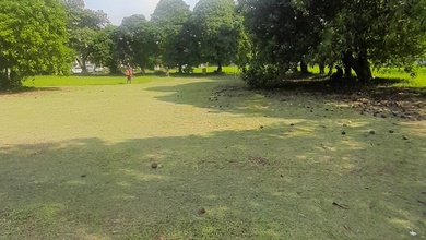 Kavling Prestisius Dijual di Kebagusan, Jakarta Selatan, Harga 291 Miliar