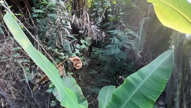 Tanah Elit Dijual di Batu Ceper, Tangerang, Harga 37,8 Miliar