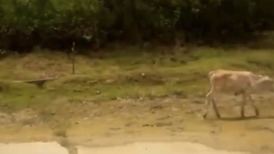 Dijual Tanah Premium di Cikarang, Bekasi, LT 60000m²