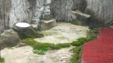 Rumah Area Luxury Kramat, Jakarta Pusat - Harga Terbaik 5,5 Miliar