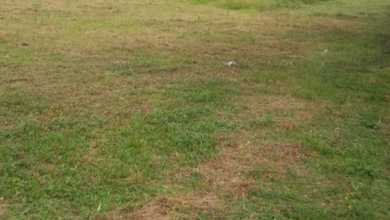 Di Jual Pabrik+ Pt di Sukabumi Ada Sumber Mata Air