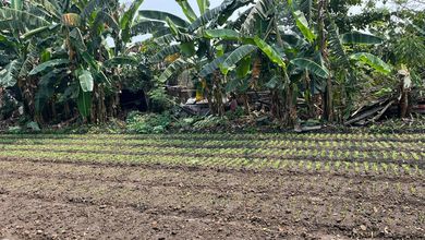 Tanah Elit Dijual di Rawalumbu, Bekasi, Harga 40,5 Miliar