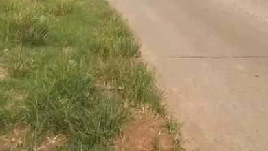 Tanah Elit Dijual di Tirtamulya, Karawang, Harga 3,33 Miliar