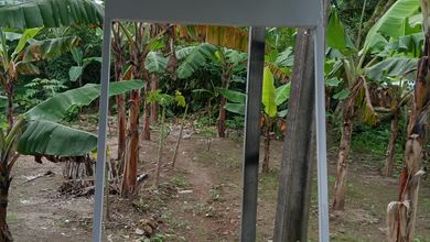 Tanah Elit Dijual di Jonggol, Bogor, Harga 40 Miliar