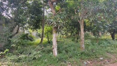 Jual Cepat Tanah Prospektif di Cileungsi, Bogor, LT 600m²