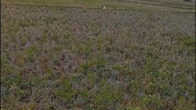 Dijual Kavling 30000 m2 Area Komplek Mewah Jatiwangi