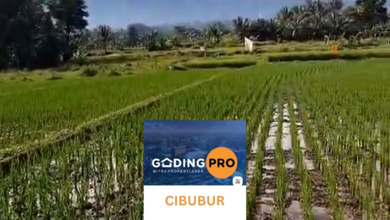 For Sale Tanah Eksklusif di Ciampea, Bogor, LT 8900m²