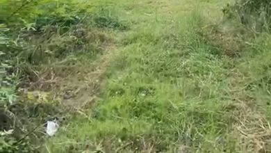 Tanah Siap Bangun Lokasi Cluster Curug Tangerang