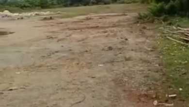 Tanah Elit Dijual di Tigaraksa, Tangerang, Harga 15,2 Miliar