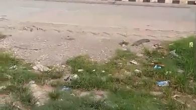 Kavling dengan Nilai Terjangkau Daerah Narogong Bekasi