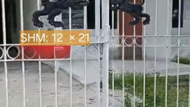 For Sale rumah Mewah di Surabaya Kota, Surabaya - LT 252m²