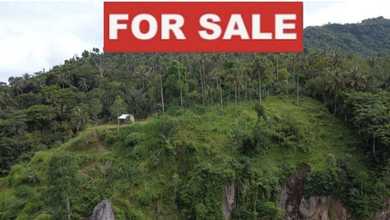 Dijual Tanah Eksklusif di Karangasem, Karangasem, LT 12400m²