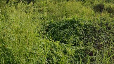 Dijual Kavling 200 m2 Lokasi Cluster Mewah Gununganyar