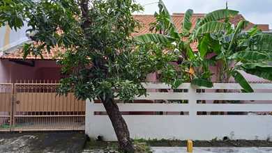 Rumah Sewaan Murah di Rungkut, Surabaya, 5 KT, Harga 32 Juta /tahun