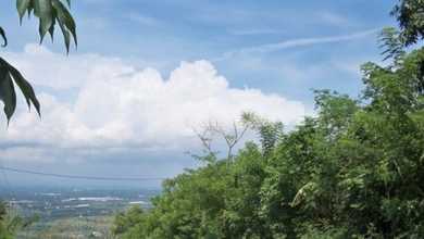 Disewakan Tanah Premium di Tutur, Pasuruan, LT 11000m²